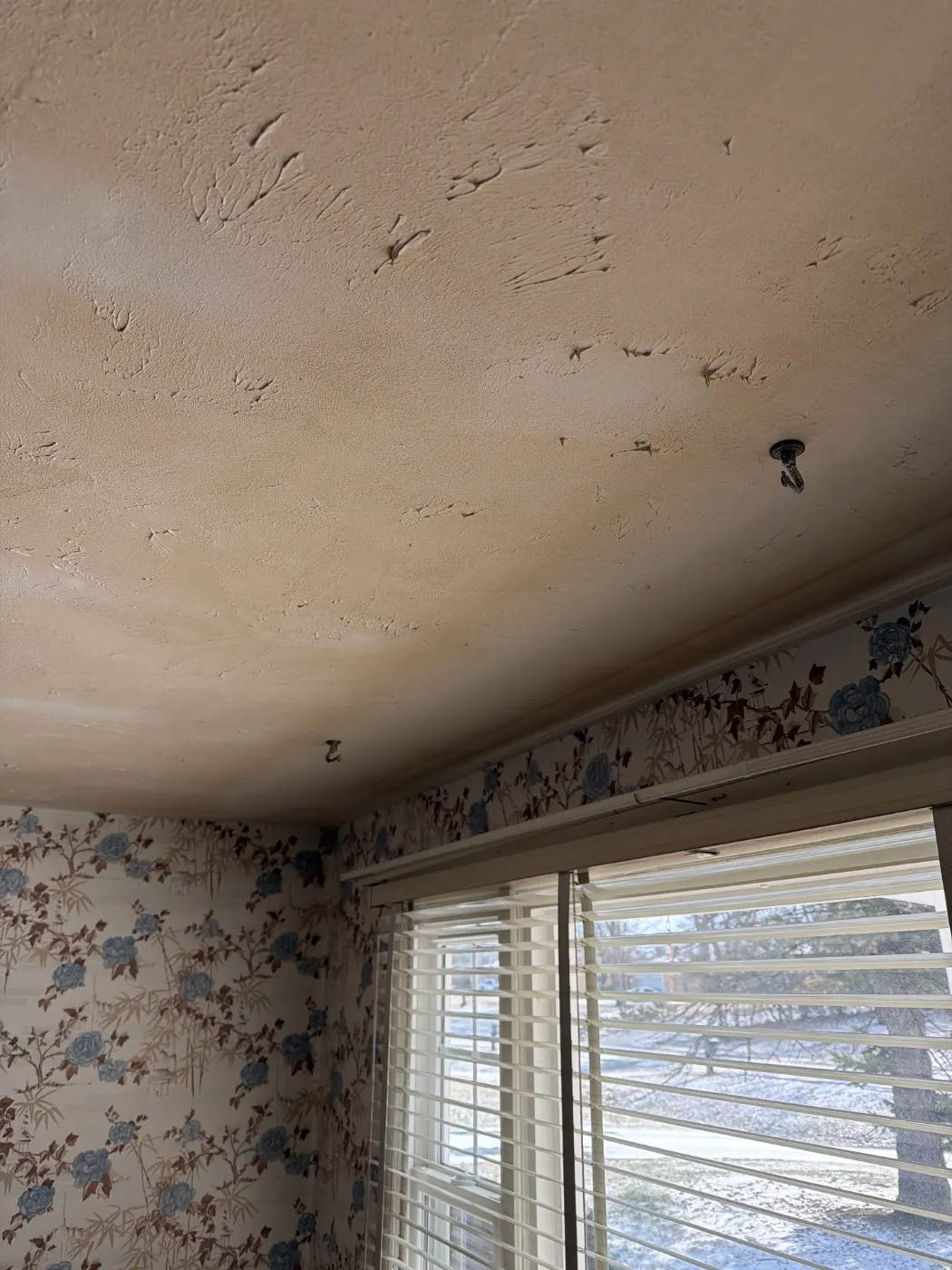Moisture meter reading on drywall in Spring Hill water loss