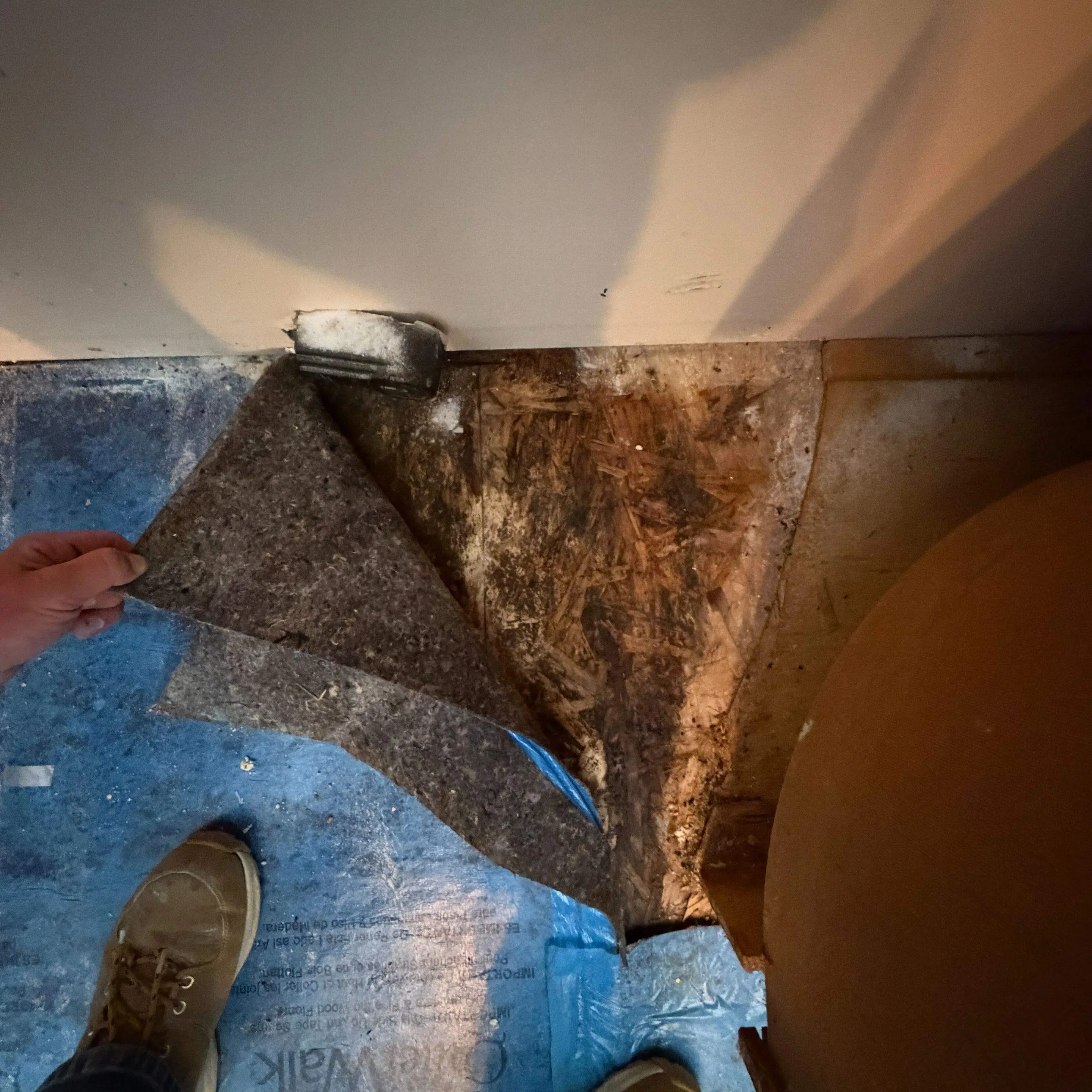 water damaged floor